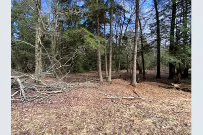  1025 W Wadi Road, Pocono Lake, PA 18347 - Photo 17