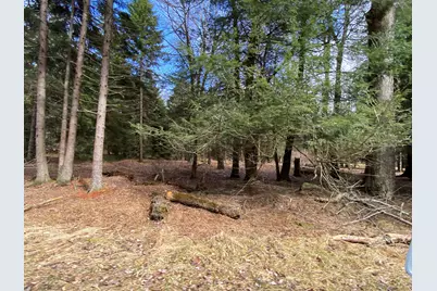  1024 W Wadi Road, Pocono Lake, PA 18347 - Photo 5
