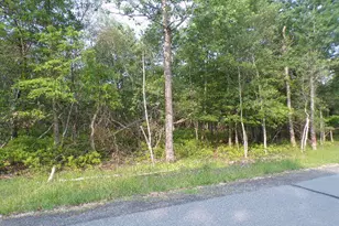 Lot 4403 Claremont Dr, Albrightsville, PA 18210 - Photo 1