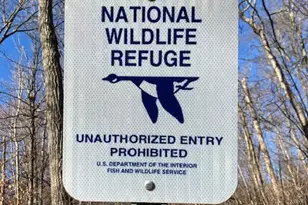 544 Poplar Valley Rd, Stroudsburg, PA 18360 - Photo 31