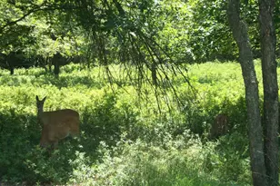 Shakespeare Dr, Albrightsville, PA 18210 - Photo 1