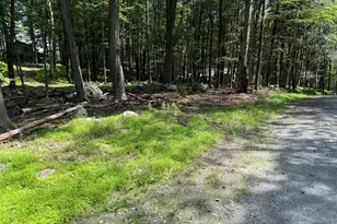 Skyview Lake Mountain Dr & Oakwood Dr Corner, Greentown, PA 18426 - Photo 9