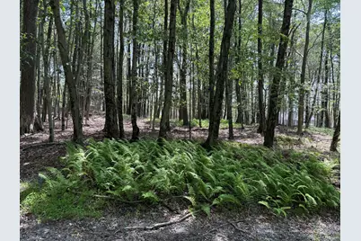  Skyview Lake Mountain Drive & Oakwood Drive Corner, Greentown, PA 18426 - Photo 13