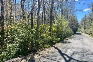 C475 Treetop Ln, Albrightsville, PA 18210 - Photo 3