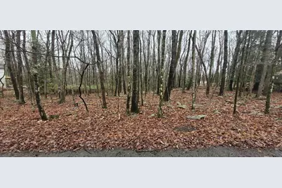  A385 Sunset Drive, Jim Thorpe, PA 18229 - Photo 3