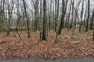 A385 Sunset Dr, Jim Thorpe, PA 18229 - Photo 3