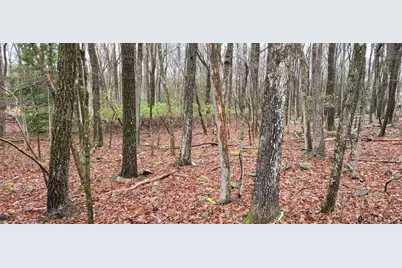  A385 Sunset Drive, Jim Thorpe, PA 18229 - Photo 1