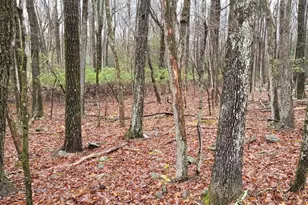 A385 Sunset Dr, Jim Thorpe, PA 18229 - Photo 1