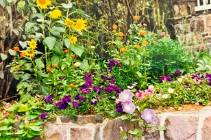 166 Alpine Lake Rd, Henryville, PA 18332 - Photo 45