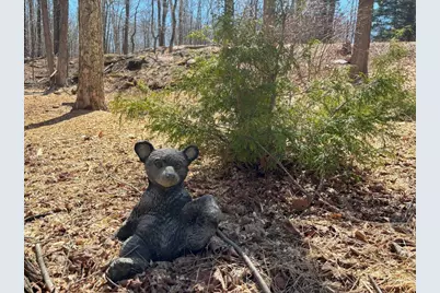  113 Mountainside Drive, Gouldsboro, PA 18424 - Photo 5