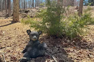 113 Mountainside Dr, Gouldsboro, PA 18424 - Photo 5