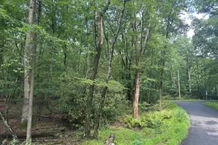 3 Tioga Dr, Kunkletown, PA 18058 - Photo 1
