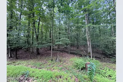  3 Tioga Dr., Kunkletown, PA 18058 - Photo 3