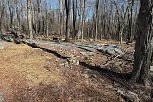 Woodledge Village Woodledge E Lake Dr, Hawley, PA 18428 - Photo 11