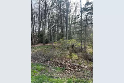  Lot 309-310 Wagner Way Way, Pocono Lake, PA 18347 - Photo 5