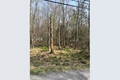  Lot 719 Elk Run Road, Pocono Lake, PA 18347 - Photo 5