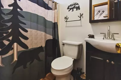  164 Fawn Road, Pocono Lake, PA 18347 - Photo 13