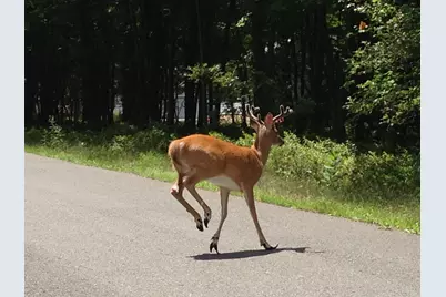  R27Hf Oak Glade Road, Albrightsville, PA 18210 - Photo 1