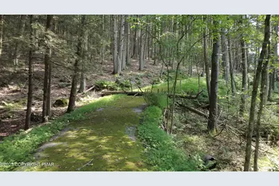  2320 Paradise Trail, East Stroudsburg, PA 18301 - Photo 5