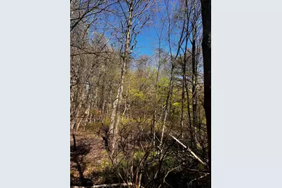  Lot 5881 Tumbleweed Drive, Long Pond, PA 18334 - Photo 3