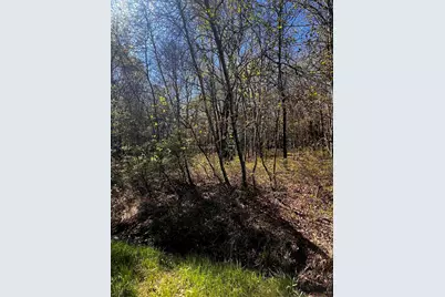  Lot 5915 Wild Laurel Drive, Long Pond, PA 18334 - Photo 3