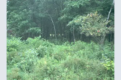  Orono Dr A 19 Drive, Pocono Lake, PA 18347 - Photo 3