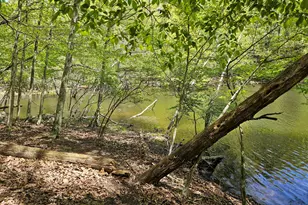 146 Cove Point Cir, Lakeville, PA 18438 - Photo 103