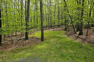 146 Cove Point Cir, Lakeville, PA 18438 - Photo 105