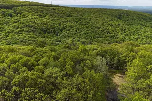 Arciel Dr, Albrightsville, PA 18210 - Photo 11