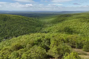 Arciel Dr, Albrightsville, PA 18210 - Photo 13