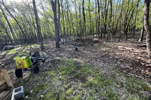 71 Blairwood Ln, Albrightsville, PA 18210 - Photo 5