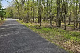 Towamensing Trail & Whitman Ln, Albrightsville, PA 18210 - Photo 1