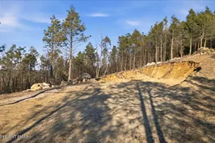 229 Forest Dr, Kunkletown, PA 18058 - Photo 5