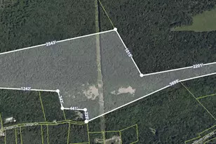 229 Forest Dr, Kunkletown, PA 18058 - Photo 7