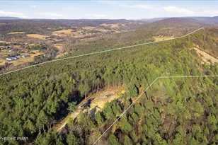 229 Forest Dr, Kunkletown, PA 18058 - Photo 3