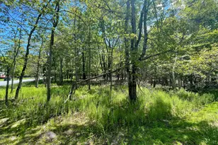 Ev804 Stoney Mountain Road & Milton Way, Albrightsville, PA 18210 - Photo 1