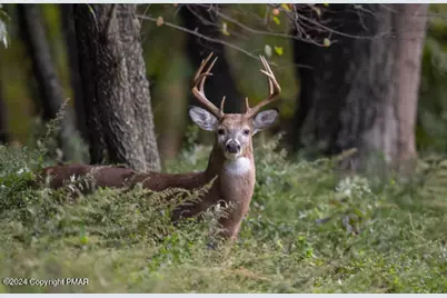  18-1604-16 Tammany Dr 18 Drive, Pocono Lake, PA 18347 - Photo 1