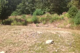 426 Longview Dr, Lake Harmony, PA 18624 - Photo 5