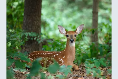  Crescent Way 849 Way, Albrightsville, PA 18210 - Photo 1