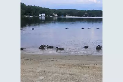  11 Cheilo Path, Pocono Lake, PA 18347 - Photo 5