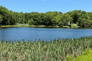 459 Pocono Blvd, Bushkill, PA 18324 - Photo 61