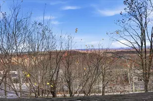 248 High Pass Way, Tannersville, PA 18372 - Photo 31