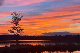 3124 Fern Rd, Pocono Summit, PA 18346 - Photo 31