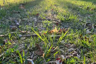 115 Alpine Ct, Pocono Pines, PA 18350 - Photo 33