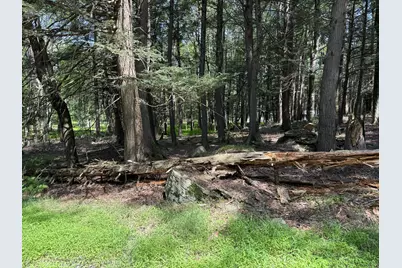  Skyview Lake Redwood Drive, Greentown, PA 18426 - Photo 7