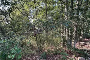 Lot F534 Pinoak Dr, Jim Thorpe, PA 18229 - Photo 3