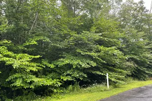 Lot 33 Scenic Dr, Blakeslee, PA 18610 - Photo 1