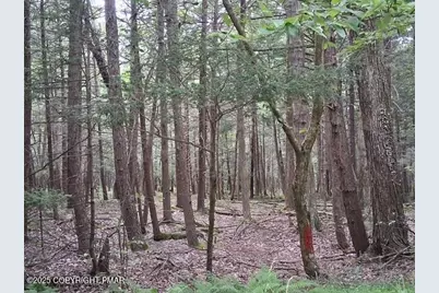  18 Robyn Lane, Pocono Lake, PA 18347 - Photo 3