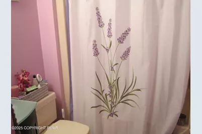  204 & Lot Mohican Road, Canadensis, PA 18325 - Photo 19