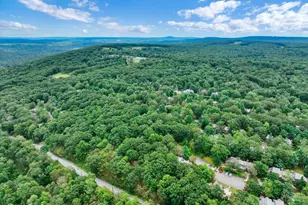 95 Telemark, Lake Harmony, PA 18624 - Photo 47